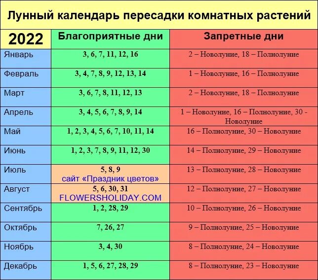 Лунный календарь пересадка комнатных растений 2020. Удачные дни для пересадки комнатных растений. Благоприятные дни для пересадки домашних цветов. Благополучные дни для пересадки комнатных цветов.