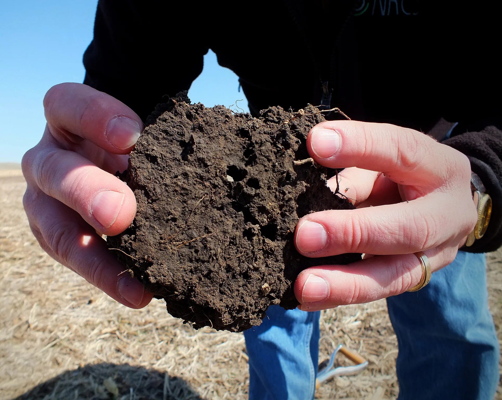 Повышением плодородия земли. Почва. Пористая почва. Связность почвы. Плодородие грунта.