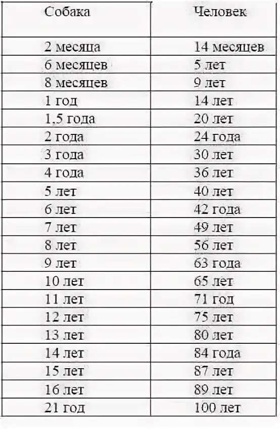 Как посчитать сколько собаке. 4 Месяца собаке по человеческим меркам это сколько лет таблица. Сколько лет по человечески собакам таблица. 4 Месяца собаке по человеческим меркам это сколько лет. Собаке 4 года сколько по человеческим меркам ему лет.
