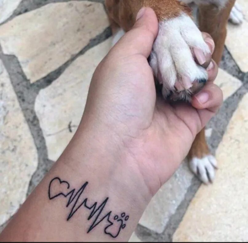 Тату для любителей животных. Татуировка собака. Тату с собакой для девушек. Татуировка собачья лапа и рука.