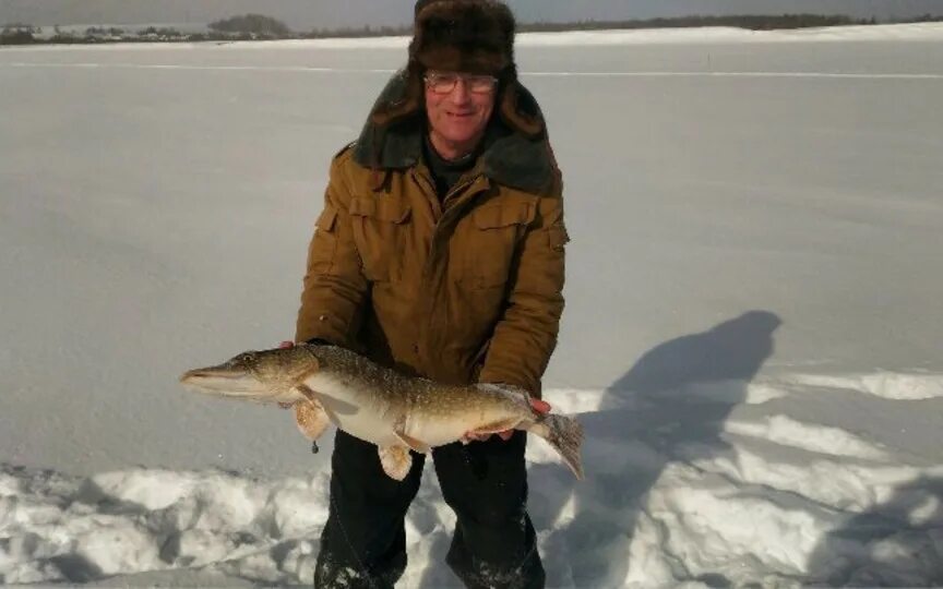 Новости с водоема отчет. Новости с водоема отчет. Вести о рыбалке с водоемов. Вести с водоёмов спб и ленинградской. Зимняя рыбалка в подмосковье.