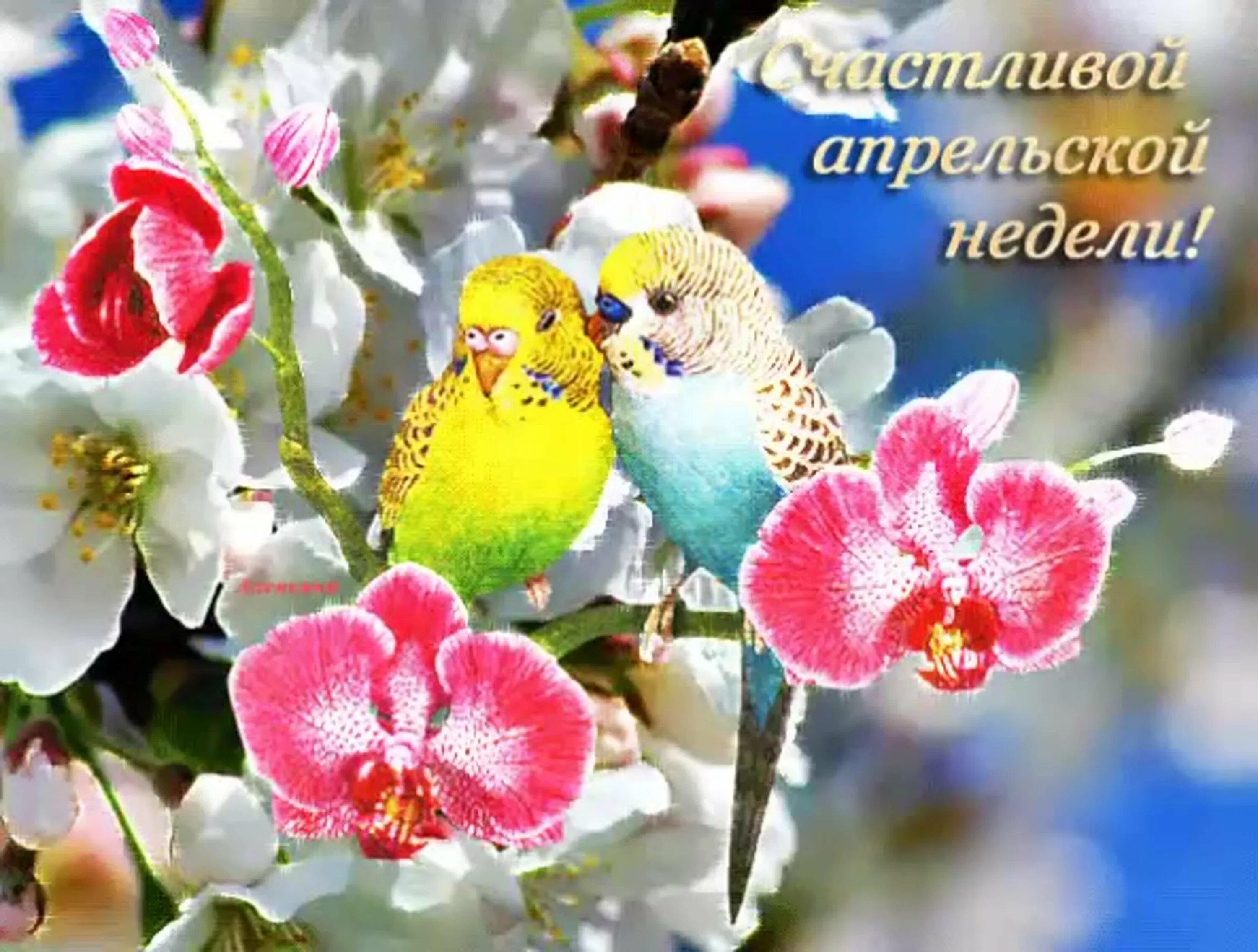 Весеннего утра и настроения картинки. Открытки весеннего настроения. Хорошего весеннего настроения. Прекрасного дня весеннего настроения. Доброго весеннего дня.