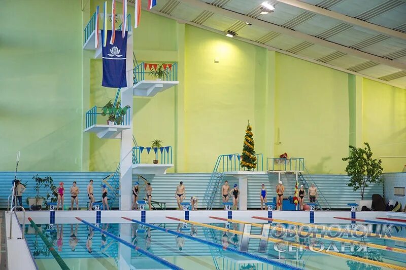 бассейн новополоцк. бассейн садко астрахань. бассейн дельфин таганрог. бассейн садко грозный. бассейн садко карасук.