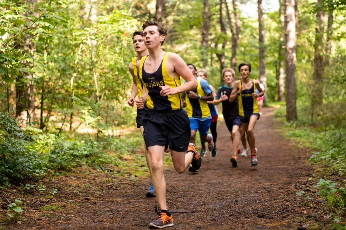 B he run. Кросс бег в легкой атлетике. Кросс Кантри бег. Бег по пересеченной местности.