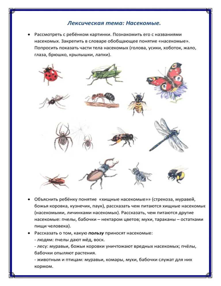 Логопедические задания по теме насекомые подготовительная группа. Насекомые лексическая тема для дошкольников. Лексическая тема насекомые рекомендации для родителей. Задания для детей на тему насекомые. Конспект занятий подготовительной группе тема насекомые