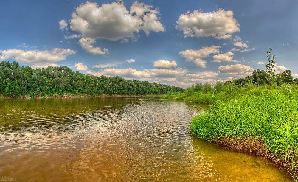 реки в жизни природы. реки в жизни природы. телевизор hisense lhd32d50ts 32". бурная река. река жизни.