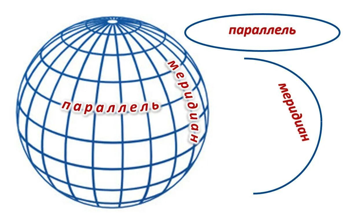 Глобус меридианы параллели Экватор. Параллели на глобусе. Меридианы и параллели на глобусе. Парапараллели на глобусе.