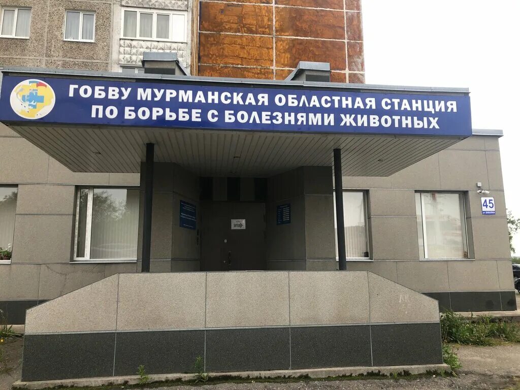 иветас ветклиника мурманск. ветеринарная клиника мурманск книповича. сббж мурманск книповича. ветеринарная клиника книповича 51 а. ветеринарная клиника книповича 51 а.