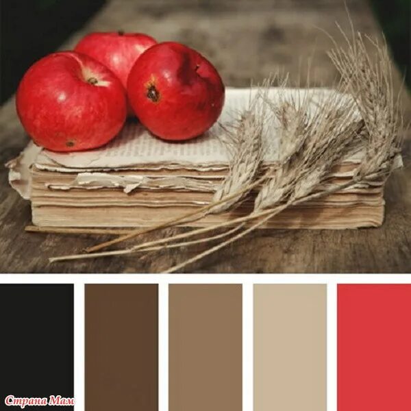 Палитра красного цвета. Цветовые сочетания теплые. Сочетание цветов красный коричневый. Цветовая палитра коричневый красный. Палитра коричневый сочетание.