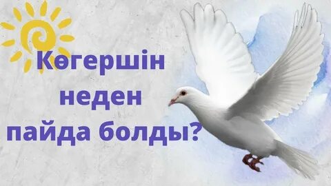 Жеке видеода шешінген әйел.