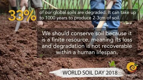 Soil перевод