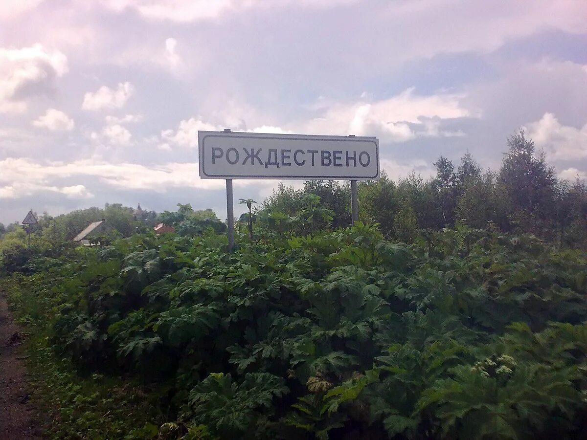 Серпухов церковь рождества христова. Рождествено руза. Рождествено руза. Рождествено руза. Рождествено руза.