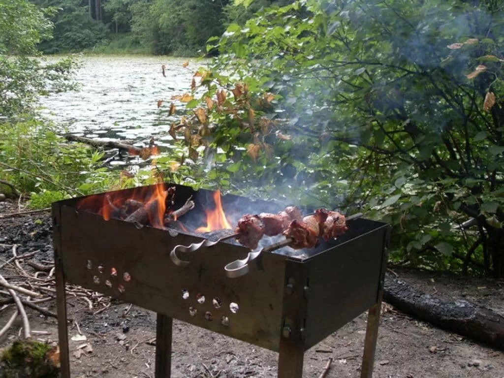 Можно ли мангал в лесу. Шашлыки на природе. Барбекю на природе. Мангал в лесу. Шашлык на мангале на природе.