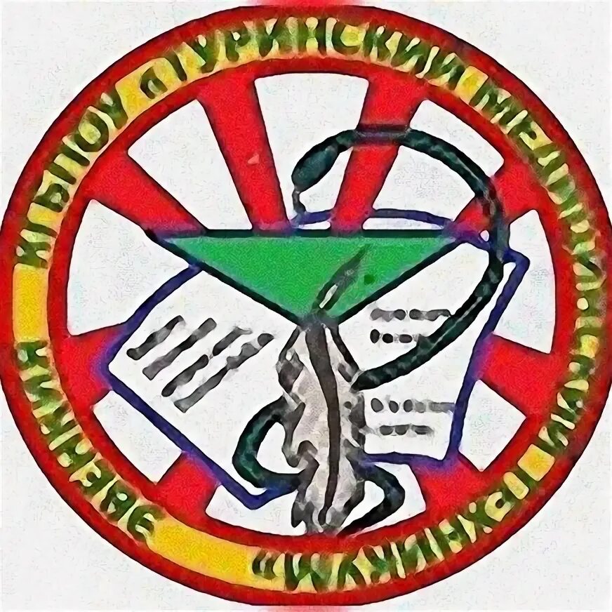 Березниковский медицинский колледж. Копейский медицинский колледж. Купинский медицинский техникум фото. Туринский медицинский техникум. Раменский медицинский колледж.