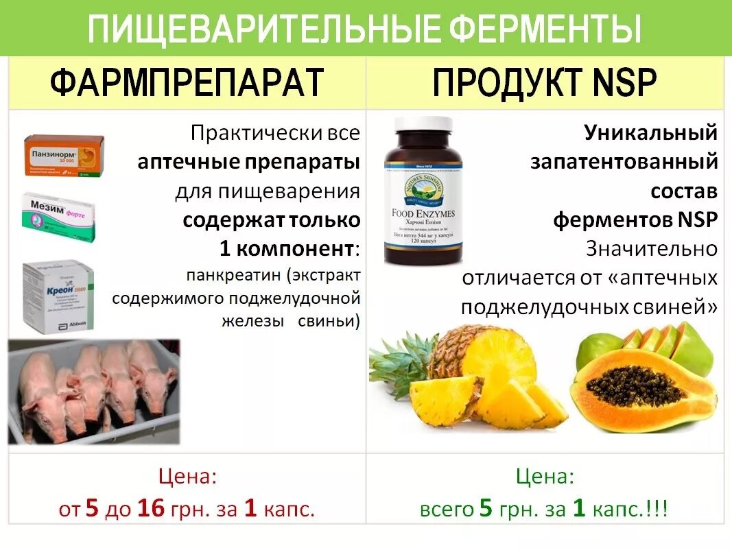 Пищеварительные ферменты продукты. Пищевые ферменты НСП. Нутрицевтики НСП. NSP ферменты. Пищеварительные ферменты NSP.