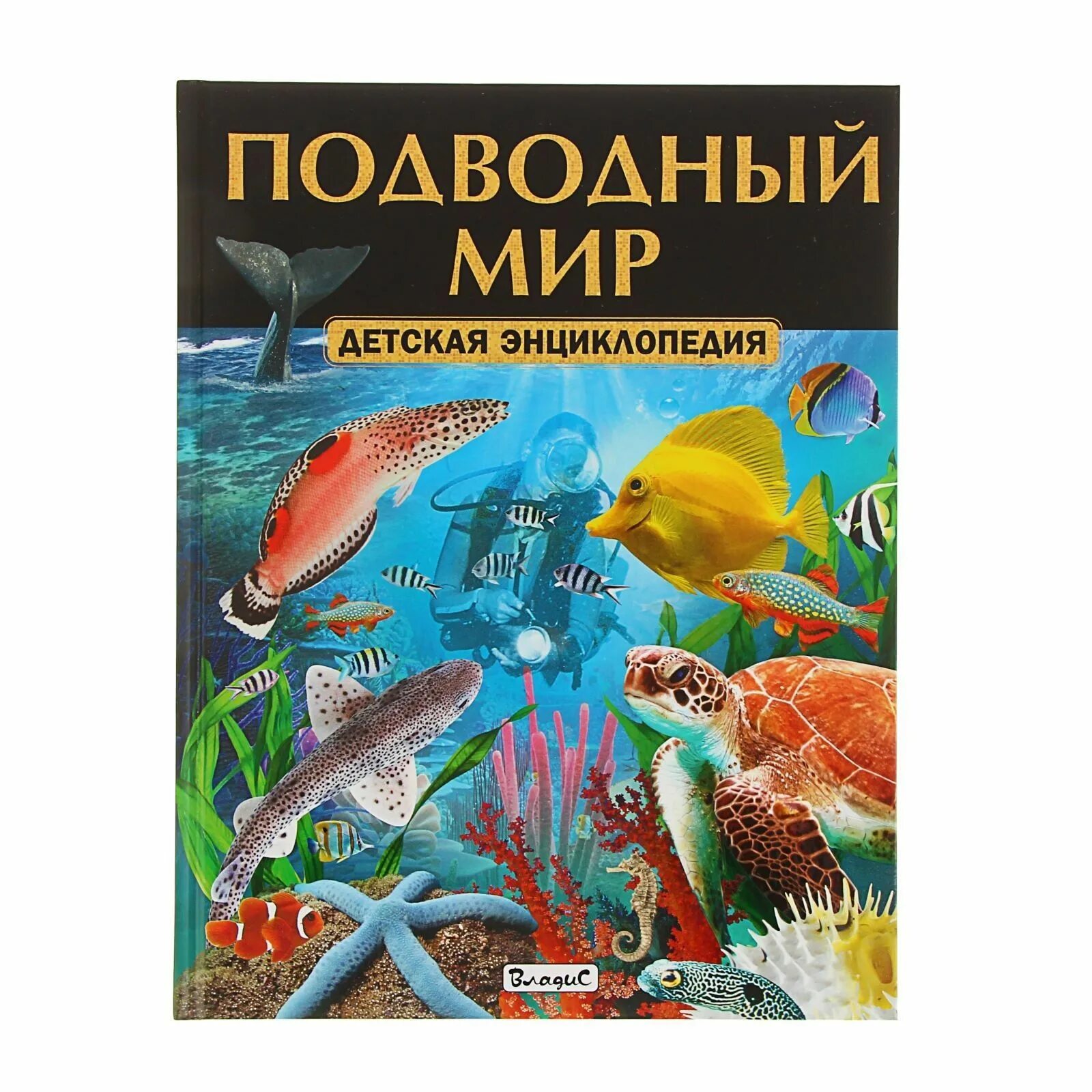 Детская энциклопедия. Книга морские обитатели. Книга морские обитатели. Подводный мир самая первая энциклопедия росмэн. Книга про морских обитателей.