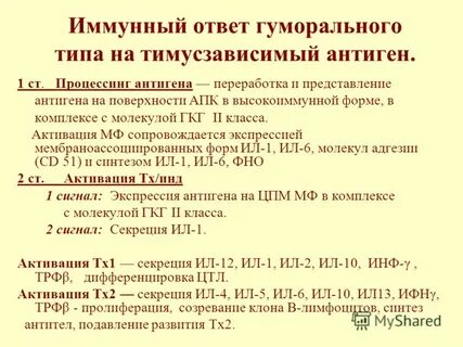 Читать иммунный 2