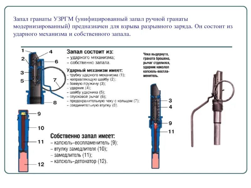 Запал ручной гранаты УЗРГМ. Запал УЗРГМ-2 характеристики. Запал гранаты УЗРГМ, УЗРГМ-2. УЗРГМ-2 расшифровка характеристики.