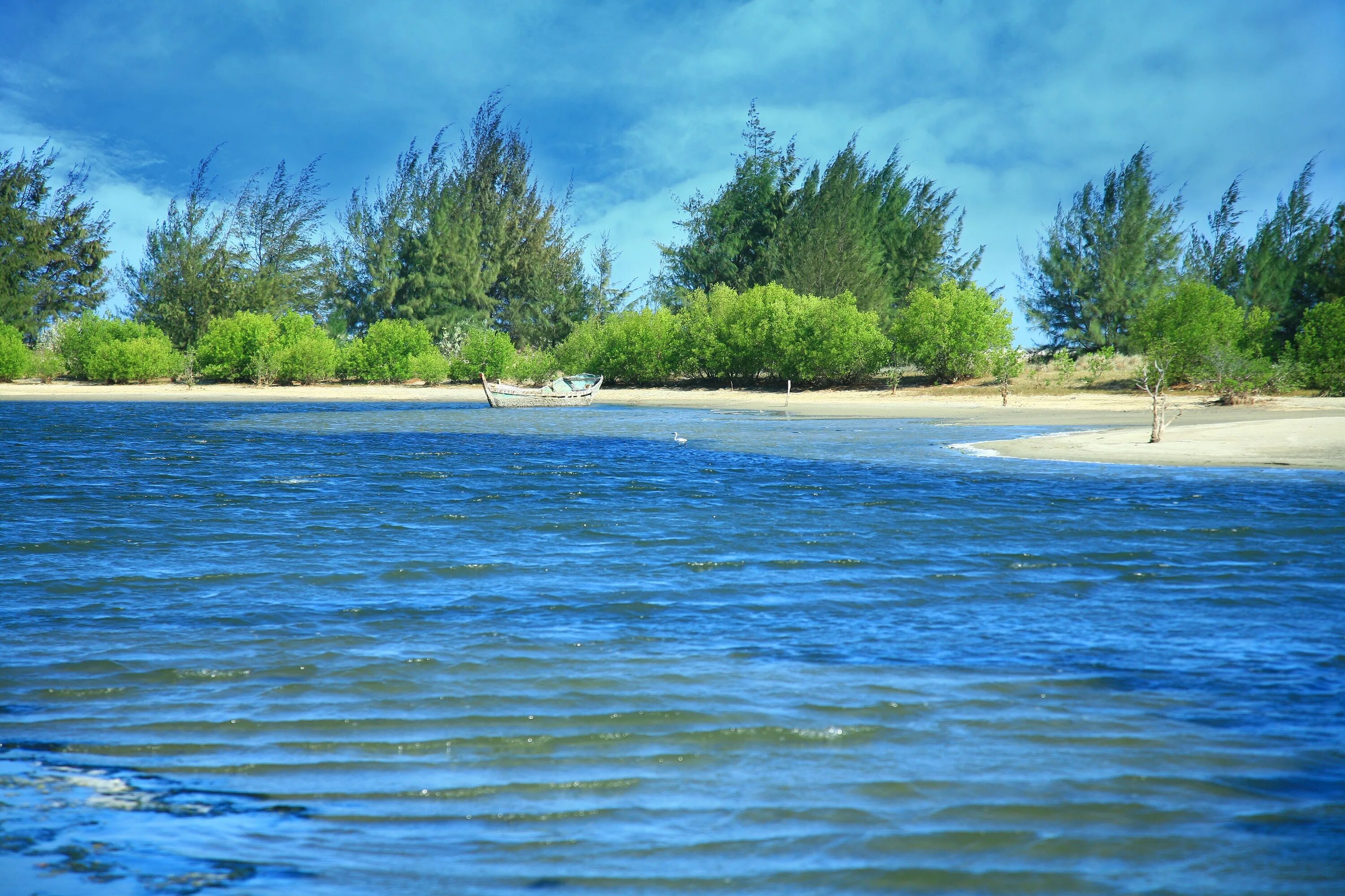 Берег реки. Реки озера моря. Вода озеро. Вода река. Вода в реке бывает