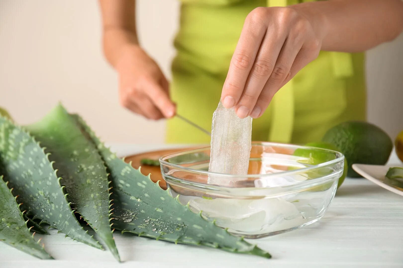 Aloe vera применение. Алоин в алоэ что это. Алоэ гарипензис.