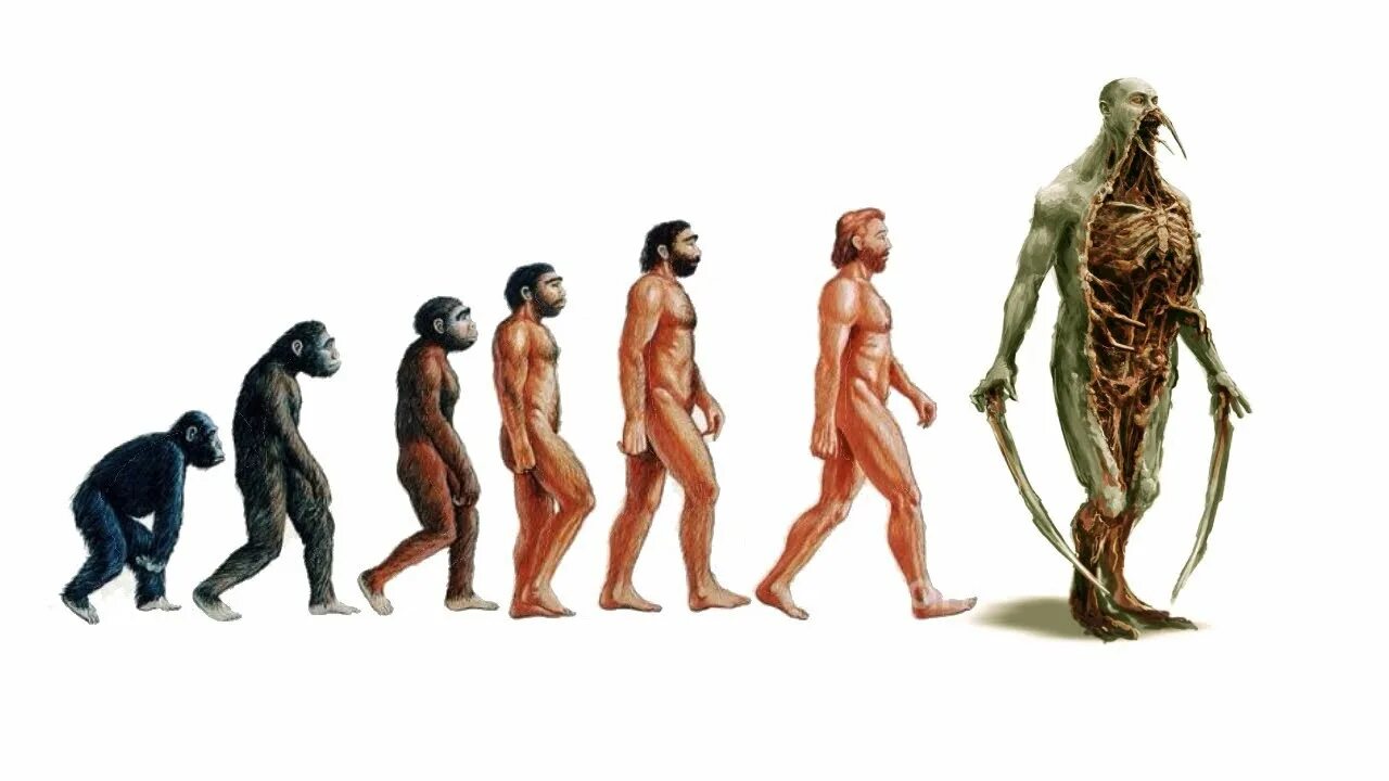 Покажи какие человеки бывают. Эволюция человека хомосапиенс. Человек разумный homo sapiens sapiens. Эволюция человека в будущем. Человек будущего Эволюция.