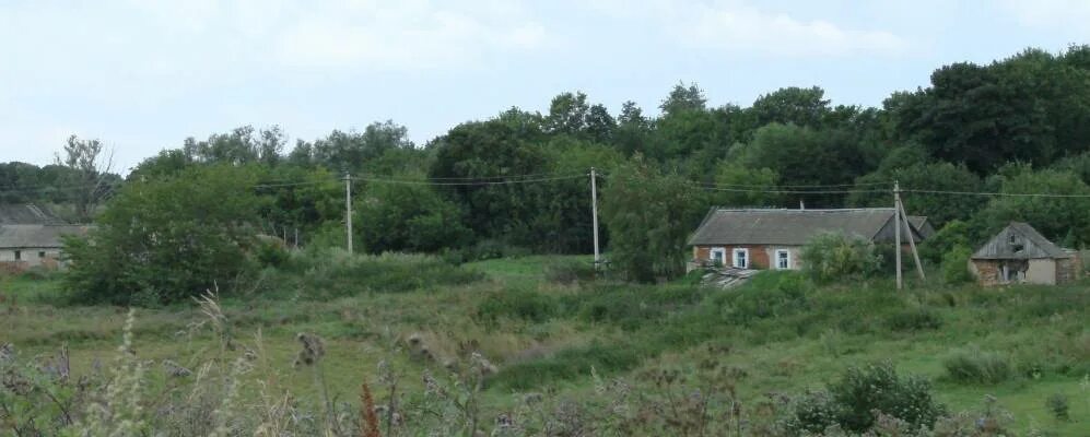 Знаменское левтолстовкого р-на. Погода в лев толстовском районе липецкой. Погода в лев толстовском районе липецкой. Погода в лев толстовском районе липецкой. Знаменское левтолстовкого р-на.