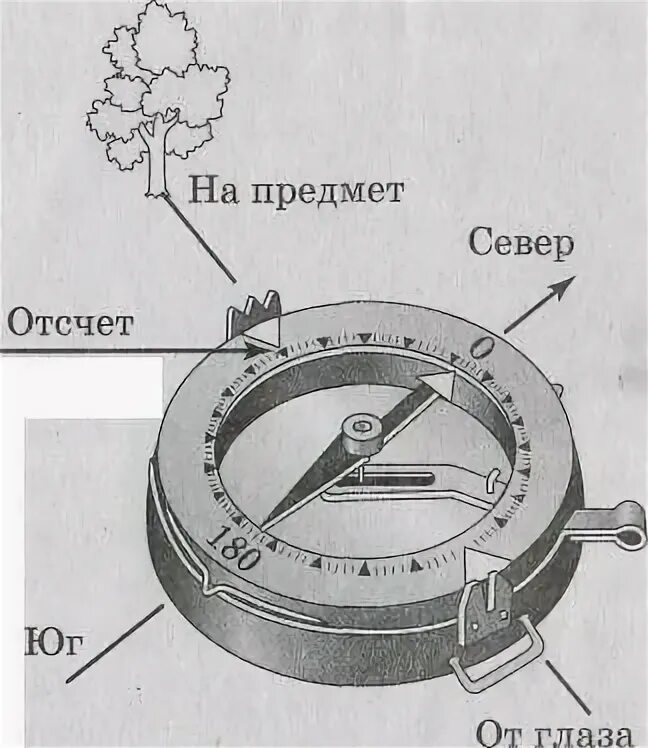 Компас шкала компаса. Компас Адрианова рисунок. Компас Адрианова состоит. Шкала деления компаса Адрианова.