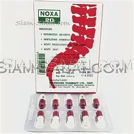 Noxa 20 капсулы состав. Капсулы ноха 20 тайланд. noxa 20 капсулы для позвоночника. капсулы от боли в суставах noxa 20. бад noxa 20 тайский.