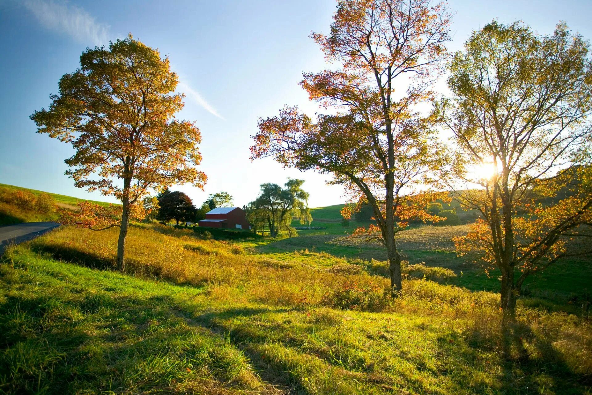 Countryside walks. Лес поле Смоленщина. Природа деревня. Ранняя осень. Природа деревья.