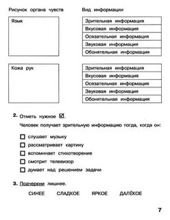 Информатика рабочая тетрадь ответы