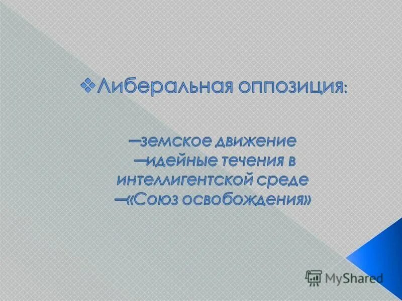 Либеральная оппозиция в начале 20 века. Либерально оппозиционное движение. Либеральная оппозиция это определение. Либерально-оппозиционное. Либеральная оппозиция это в истории.