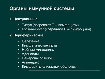 Укажите органы иммунной системы