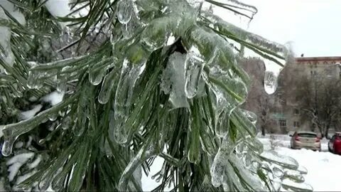 Ледяной дождь последствия