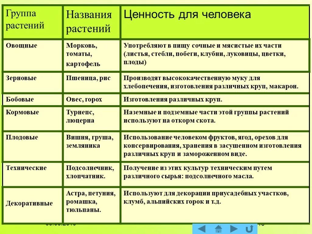 Значение культурных растений в жизни человека 7. Классификация культурных растений 6 класс биология. Культурные растения таблица. Разнообразие культурных растений. Классификация культурных растений по группам.