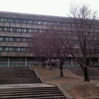 Университет л