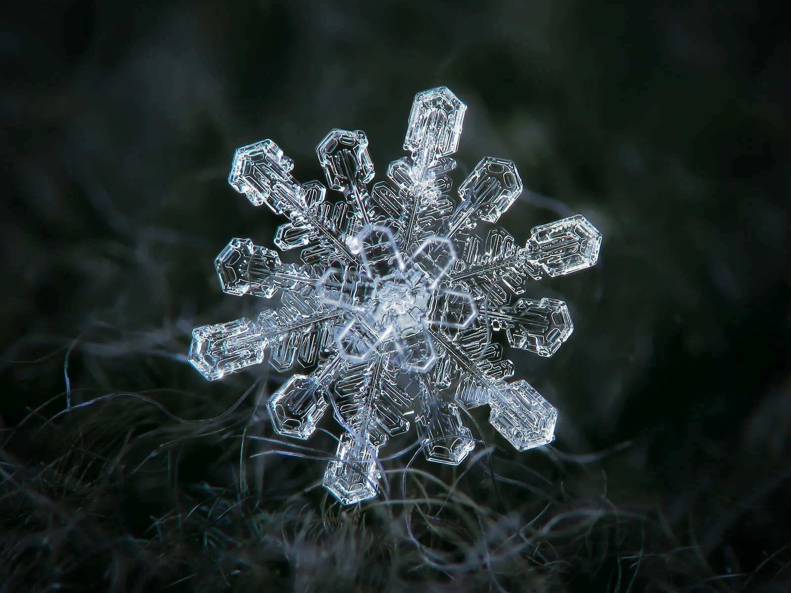 Snowflake 1