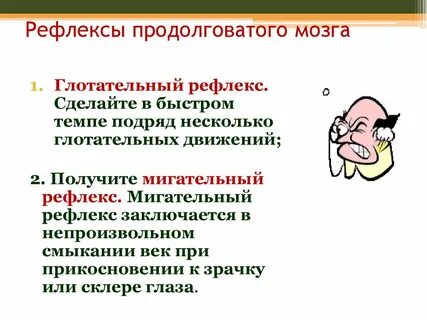 Продолговатый мозг рефлексы центры
