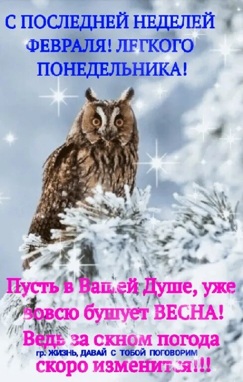 с последней февральской неделей. удачного зимнего дня и хорошего настроения. последний день зимы фото. с последним днем зимы. с последним зимним днем.