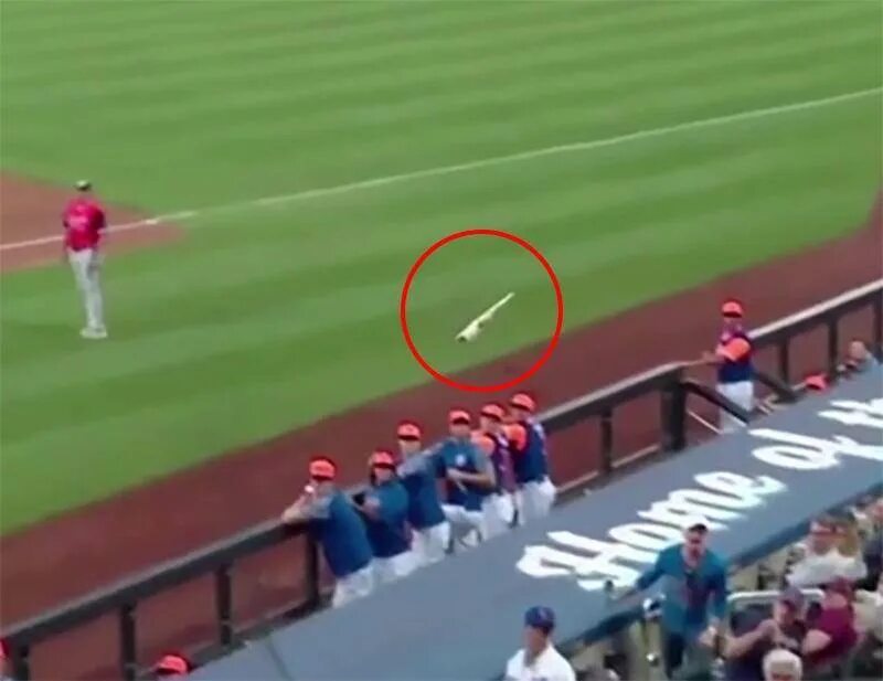 Фри бит обложка. Биты летая. Бейсбольная бита в зрителей. Бита в руке. Биты whirlpower ph2 50.