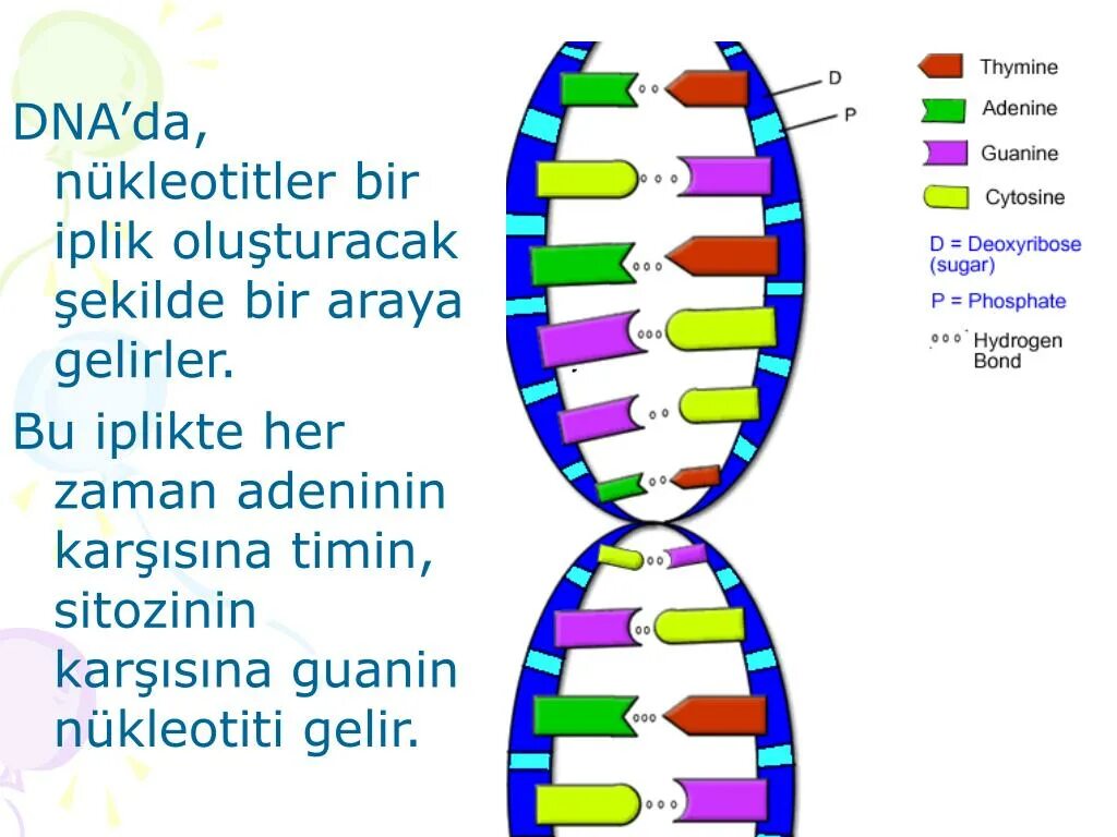 DNA CA/250 где фаза. DNA Fancy толщина. DNA плата. DNA Ishigar плата.