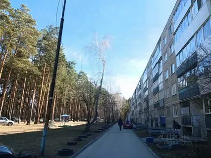1 комнатная квартира березовский свердловская область