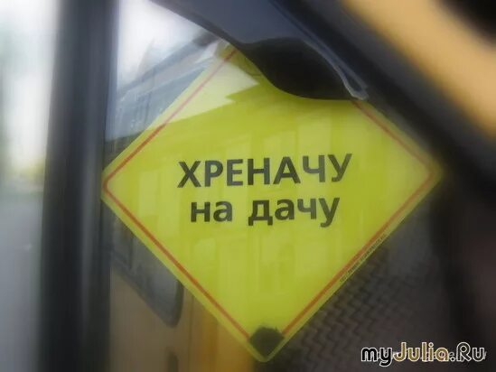 еду на дачу на пятой. еду на дачу на пятой. дачники с рассадой в машине. да еду. дачник с урожаем.