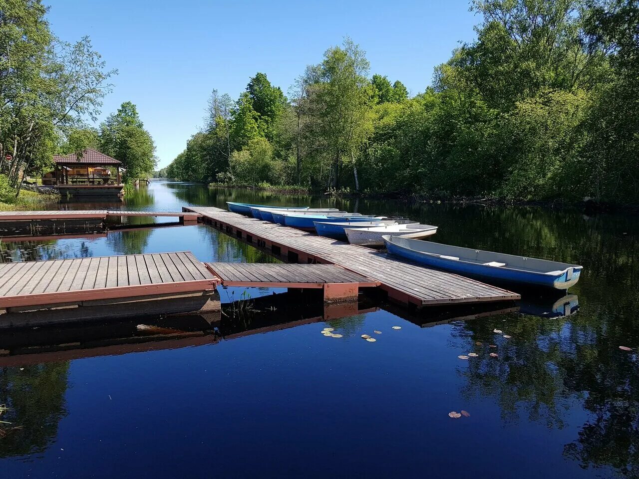 озерки питер. аптека озерки череповец победы 162. аптека озерки в кингисеппе. теннисный лагерь для детей в спб. озерки междуреченск официальный сайт.
