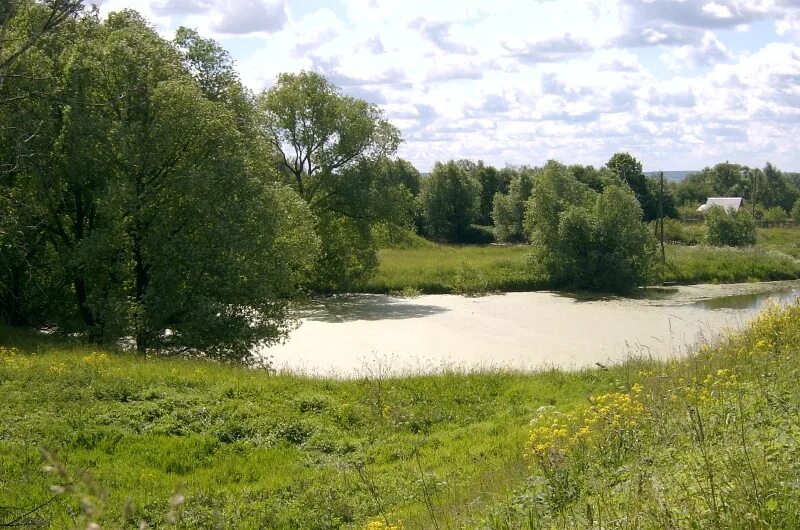 Пировы городищи вязниковский. Погода городище владимирская обл. Погода городище владимирская обл. Городищи владимирская область. Спасское городище владимирская область.