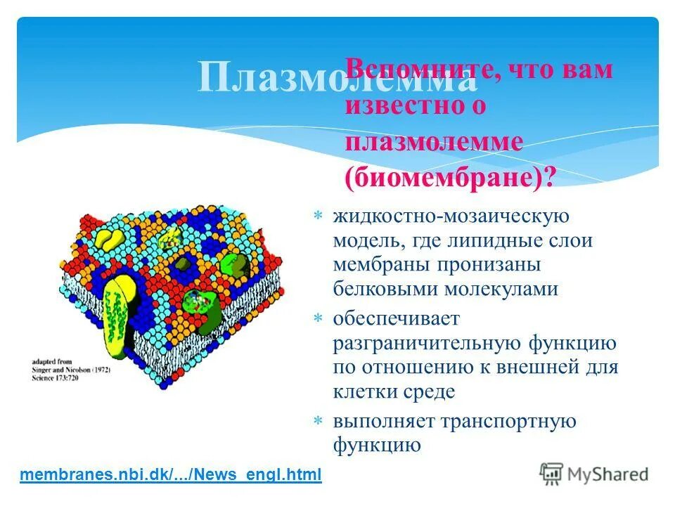 Внешняя и внутренняя среда. Составляющие внутренней и внешней среды деятельности предприятия. Нарисуйте схему организации, как открытой системы. Внутренняя и внешняя среда организации в менеджменте. Внешняя и внутренняя среда человека.