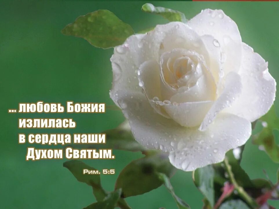 Благословение данные от сердца
