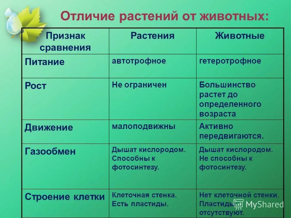 Назовите основные отличительные. Отличие животных от растений таблица. Основные отличия растений и животных. Основные признаки растений и животных. Признаки отличающие животных от растений.