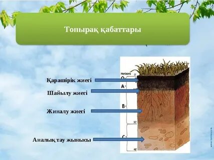 HD порноға тыңшылық