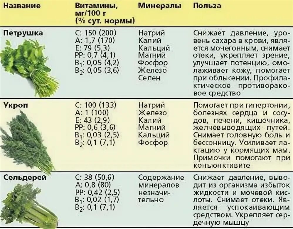 Витамины в укропе и петрушке. Витамины в укропе свежем. Витамины в укропе и зеленом. Полезная зелень. Можно кроликам укроп