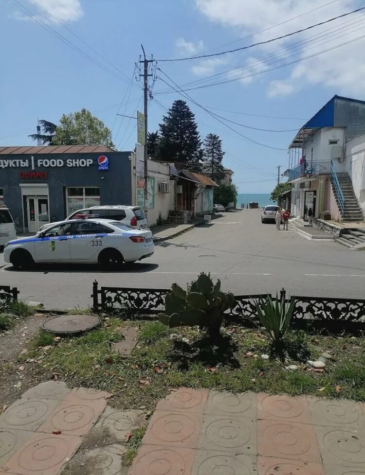 Гагры пр ардзинба. Проспект ардзинба гагра. гагра проспект ардзинба 105. гагры пр ардзинба 105а. гагра проспект ардзинба 1 05.